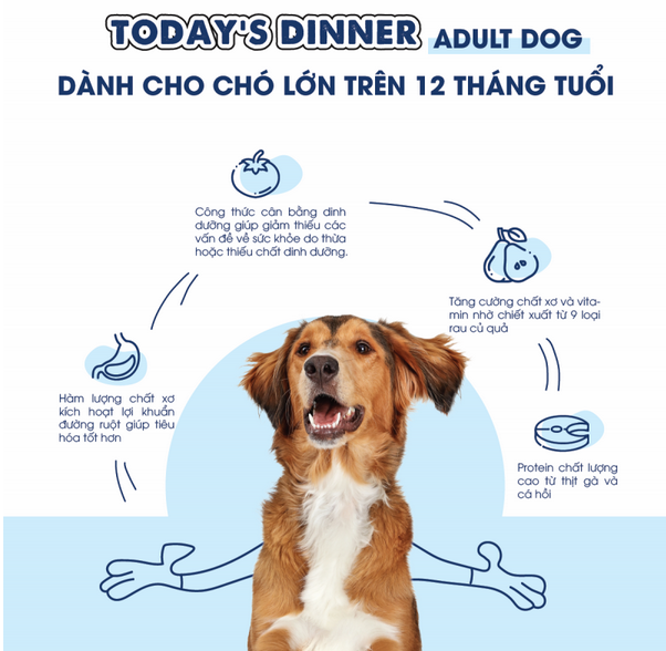 Today's dinner - Thức ăn hạt cho chó trưởng thành cân bằng dinh dưỡng (Adult dog)