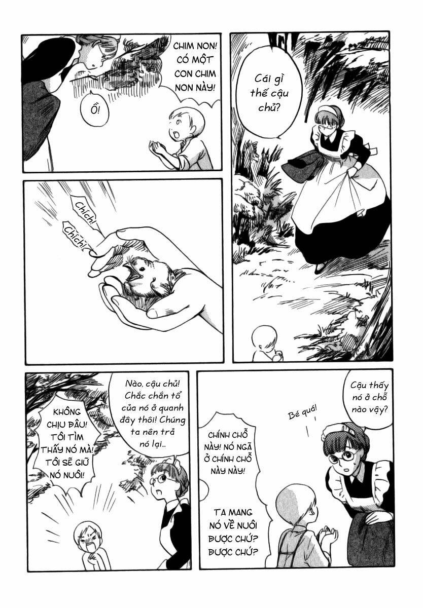 shirley chapter 6 13