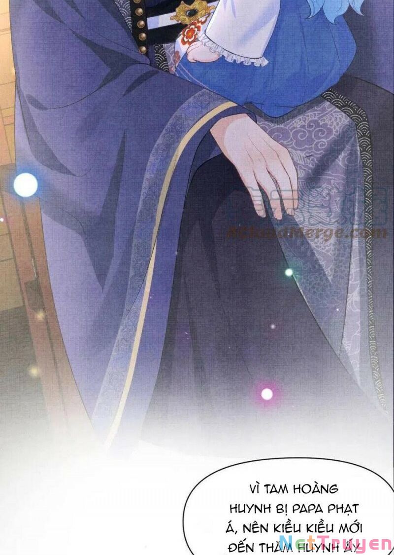 nhóc con người cá 3 tuổi rồi chapter 193 8