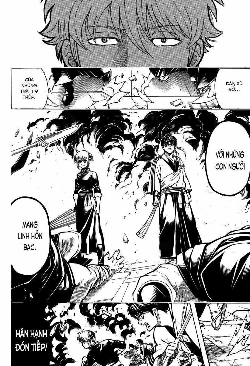 gintama - linh hồn bạc chapter 699 33