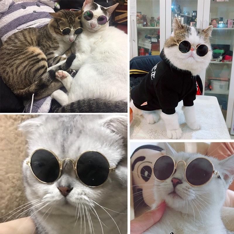 Kính mắt cho Chó Mèo cá tính thời trang - Chất liệu kim loại độc đáo