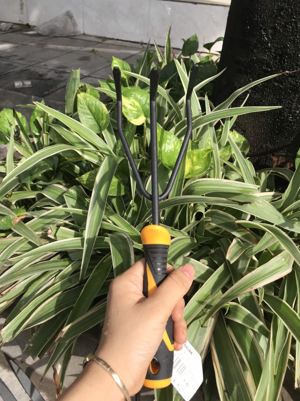 Bộ 4 dụng cụ quốc xẻng làm vườn chính hãng Tolsen tặng găng tay cao su kháng khuẩn