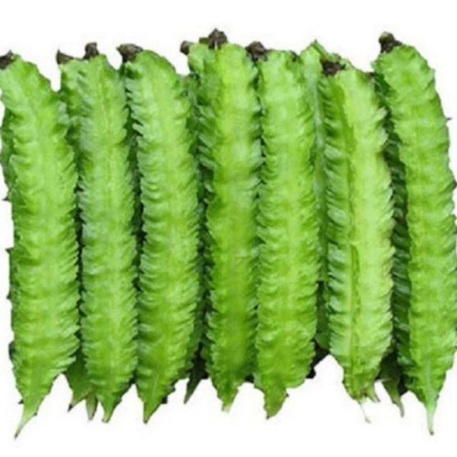 Hạt giống đậu rồng ngắn ngày cho trái quanh năm Gói 10gr
