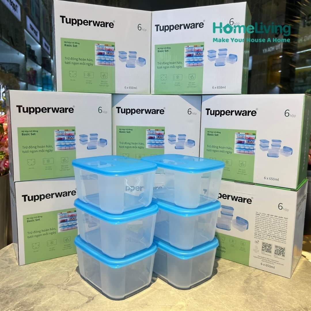 Bộ Hộp Trữ Đông Tupperware Freezermate Basic 650ml (6 Hộp)