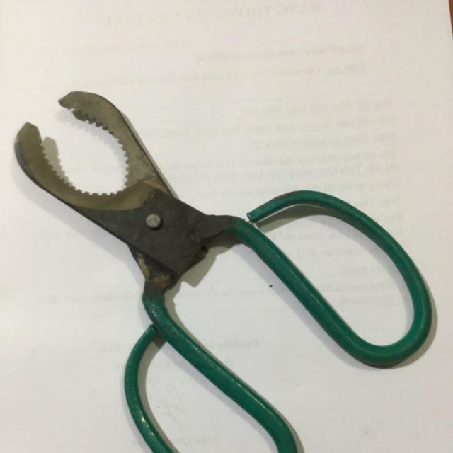 KÉO KHOANH CÀNH CÂY ĂN QUẢ