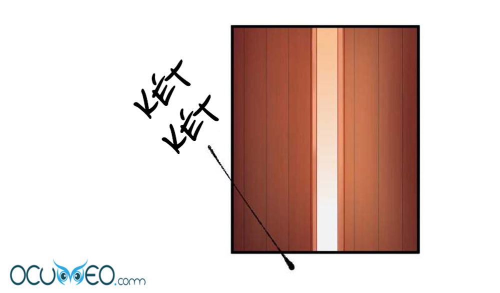 từ đây vương gia không thượng triều sớm chapter 59 12