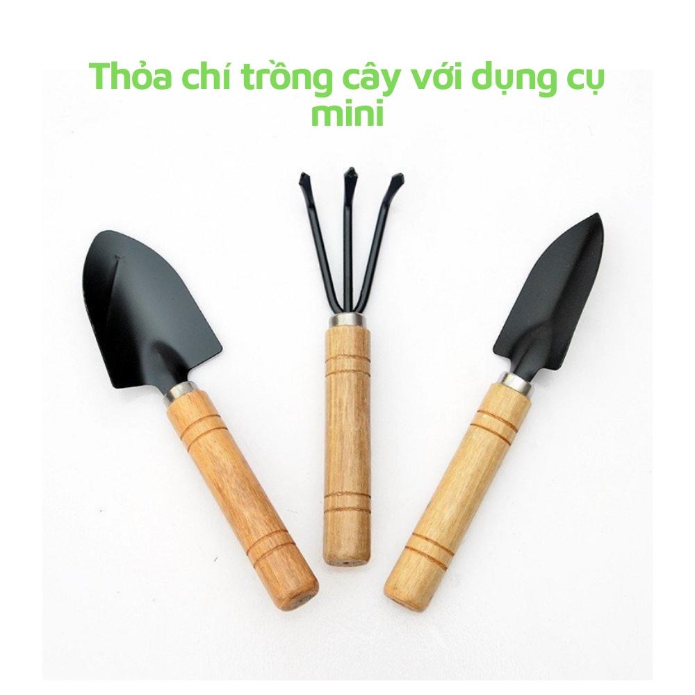 Bộ dụng cụ đào, xới đất trồng cây size M