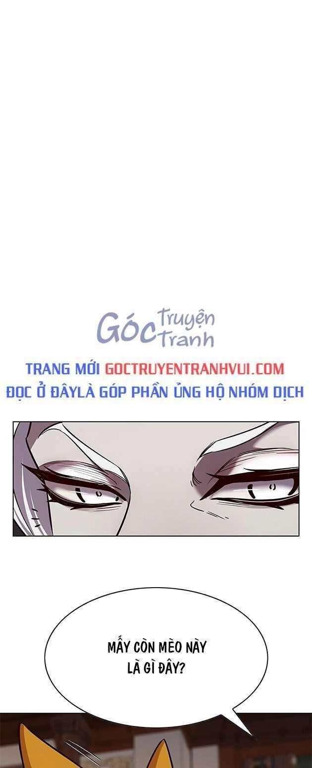 biến thân thành mèo chapter 246 1