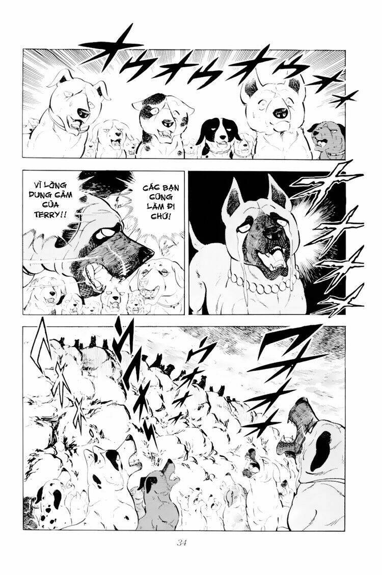 chú chó có nghĩa - ginga nagareboshi gin chapter 31 34