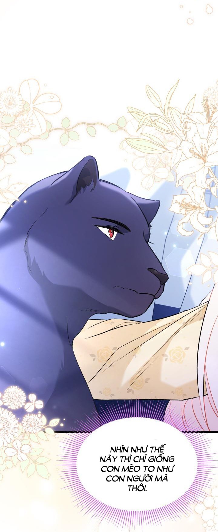 mối liên kết giữa báo đen và bé thỏ chapter 54 59