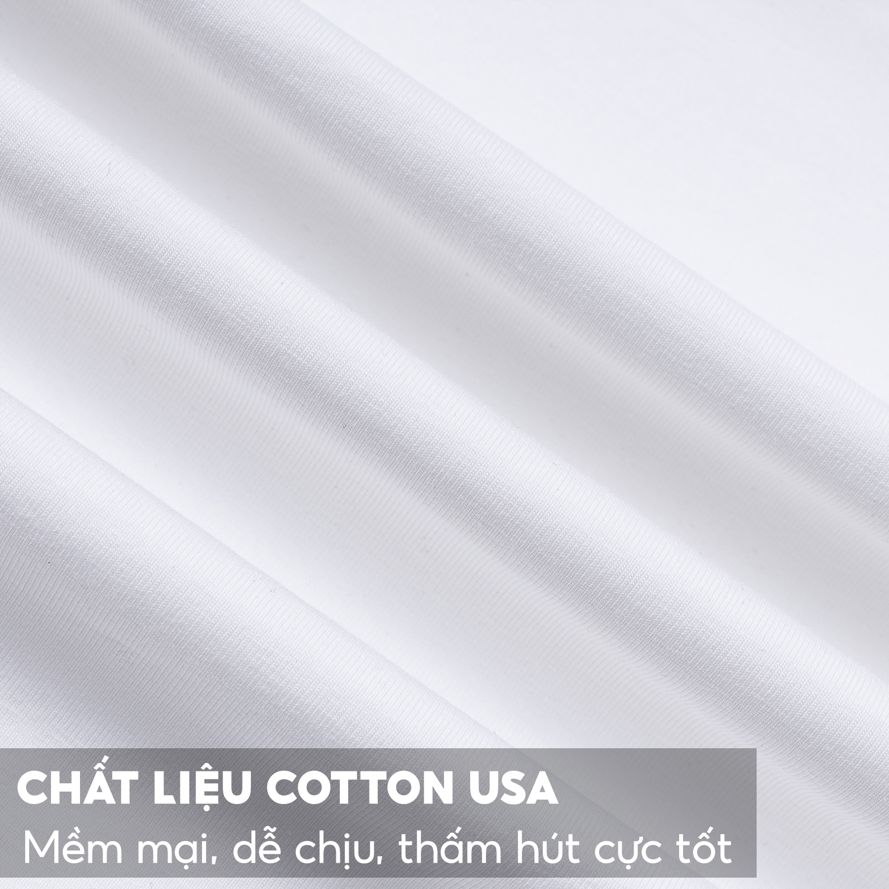 Áo Thun Nam Ngắn Tay Cổ Tròn 5S COMFORT, Chất Liệu Cotton USA, Mát, Mềm Mịn, Thấm Hút Tốt, In Trẻ Trung (TSO23002)