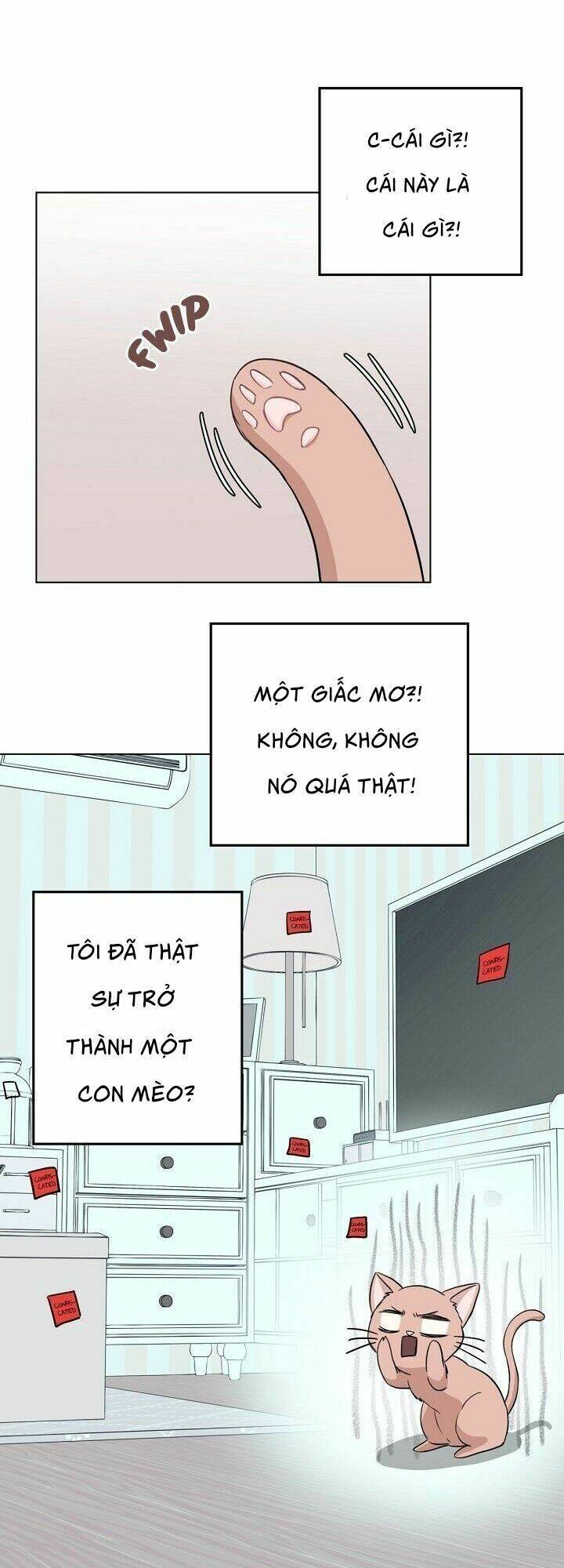 một cuộc sống kỳ lạ chapter 1 45