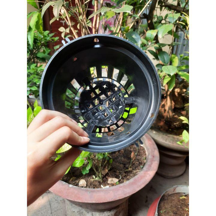 Chậu nhựa đen trồng lan, cây cảnh fi 12