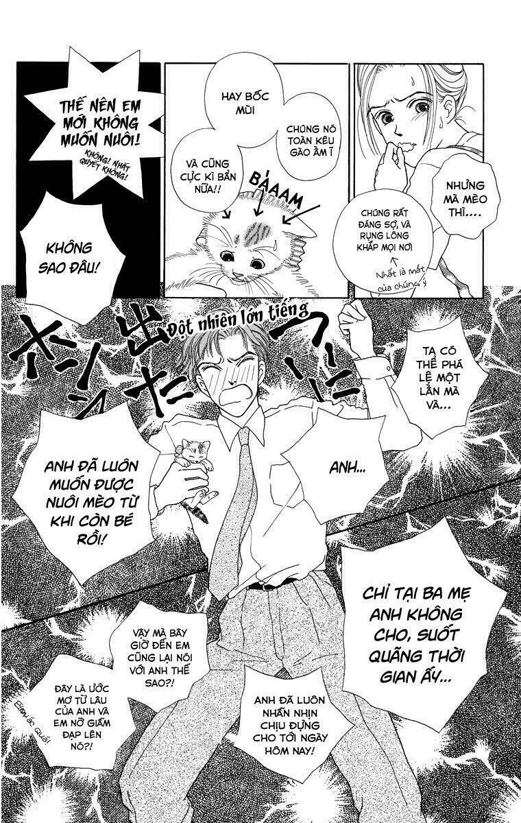 cuộc sống thường nhật của mèo zaccho chapter 1.5 6