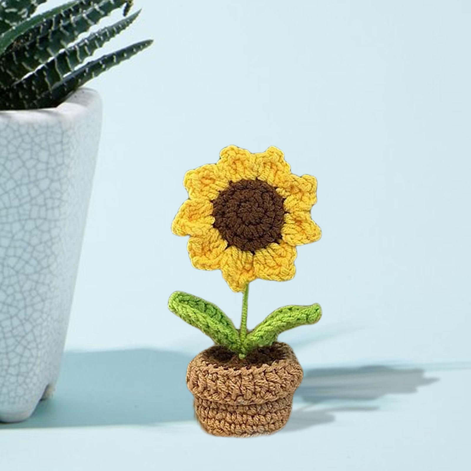 DIY Hand Woven Crochet Kit Includes Yarn, Hook, Accessories Hand Knitting Toy