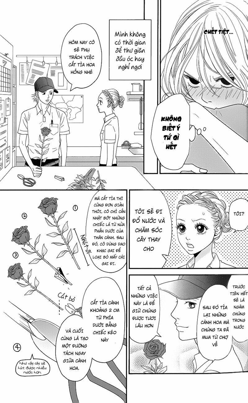 đóa hoa năm ấy chapter 1 18