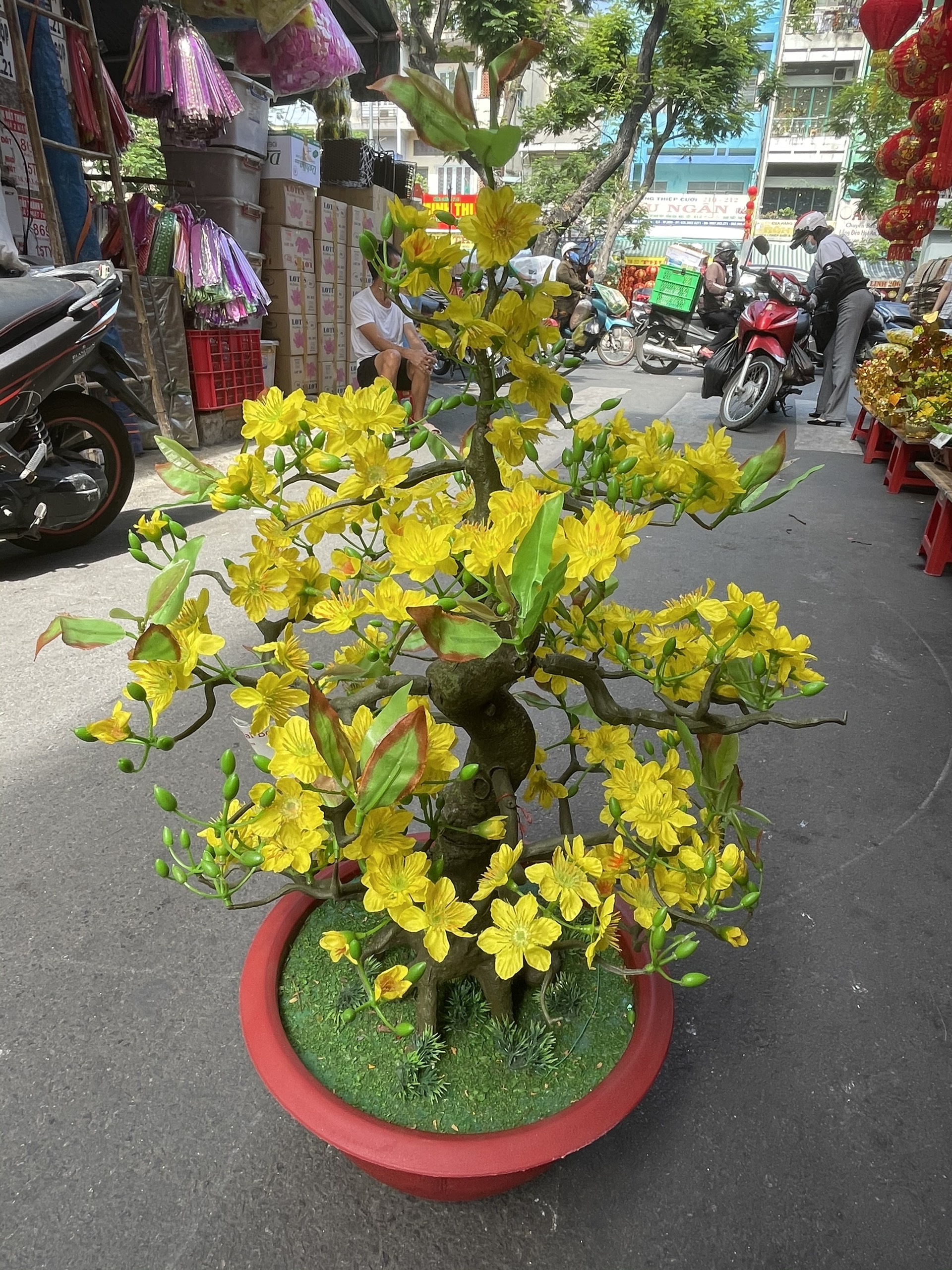 Hình ảnh Cây Hoa Mai Bonsai Nhựa Cao 80 cm Hoa Mai Giả Trang Trí Tết