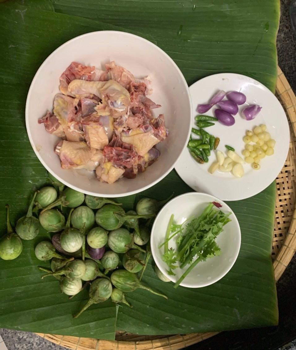 CÂY GIỐNG CÀ ĐẮNG TÂY NGUYÊN