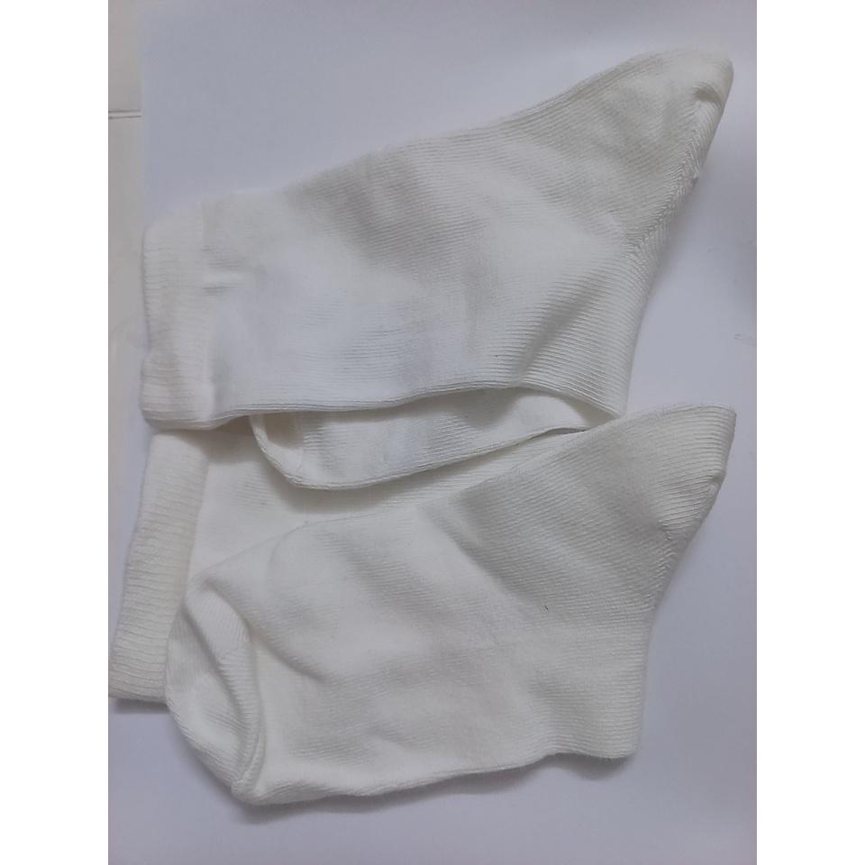 Tất vớ trắng nam nữ vải cotton đàn hồi thoáng khi ôm chân họa tiết kẻ xanh - Chùm buôn tất h25