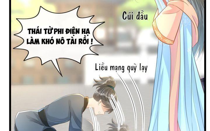 thái tử phi là người thế thân chapter 8 106
