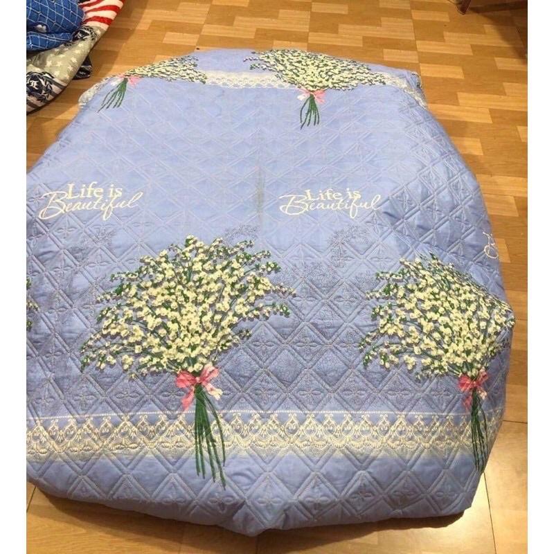 Bộ ga gối bo chun trần bông kèm hai vỏ gối trần bông dày dặn giá rẻ