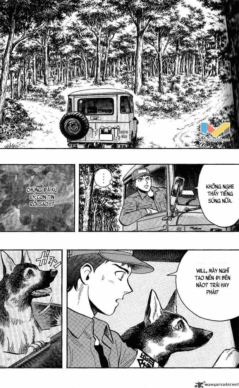 animal sense chapter 11 22