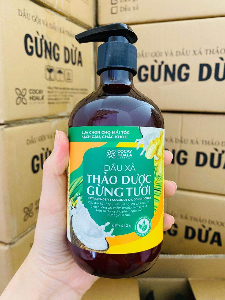 Combo 2 Dầu gội thảo dược gừng dừa Cocayhoala giảm rụng tóc, kích thích mọc tóc vượt trội, đặc biệt chăm sóc an toàn cho mẹ bầu mẹ sau sinh