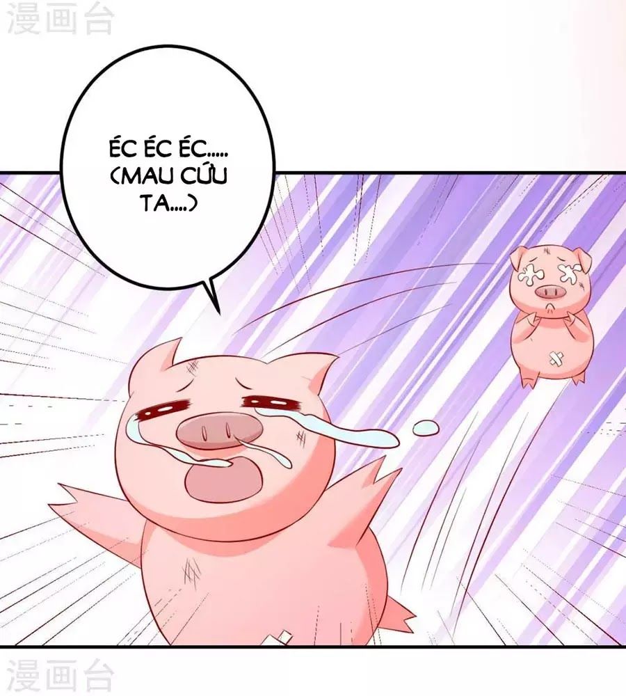 từ đây vương gia không thượng triều sớm chapter 86 41