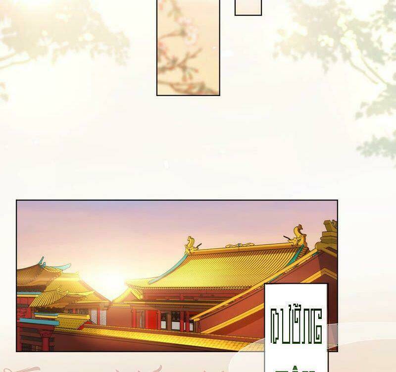 quận chúa vững vàng, thiết lập nhân vật không thể vỡ chapter 39 27