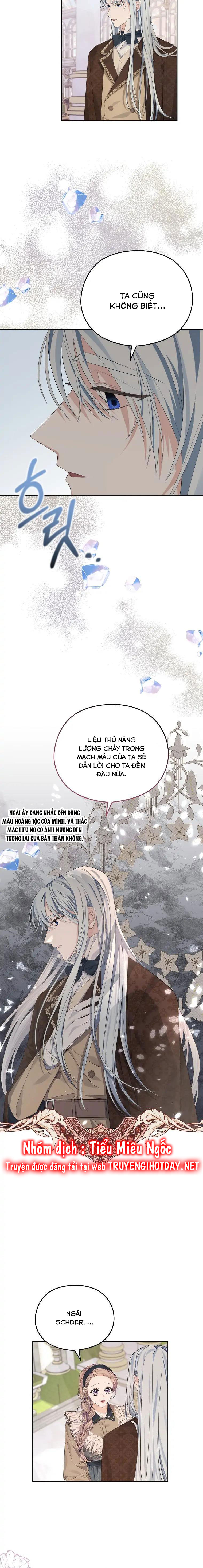 aster yêu dấu của tôi chapter 16 4