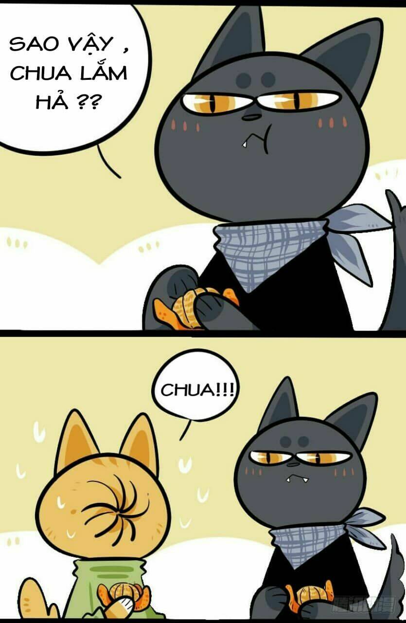 đời không như mình tưởng chapter 9 4