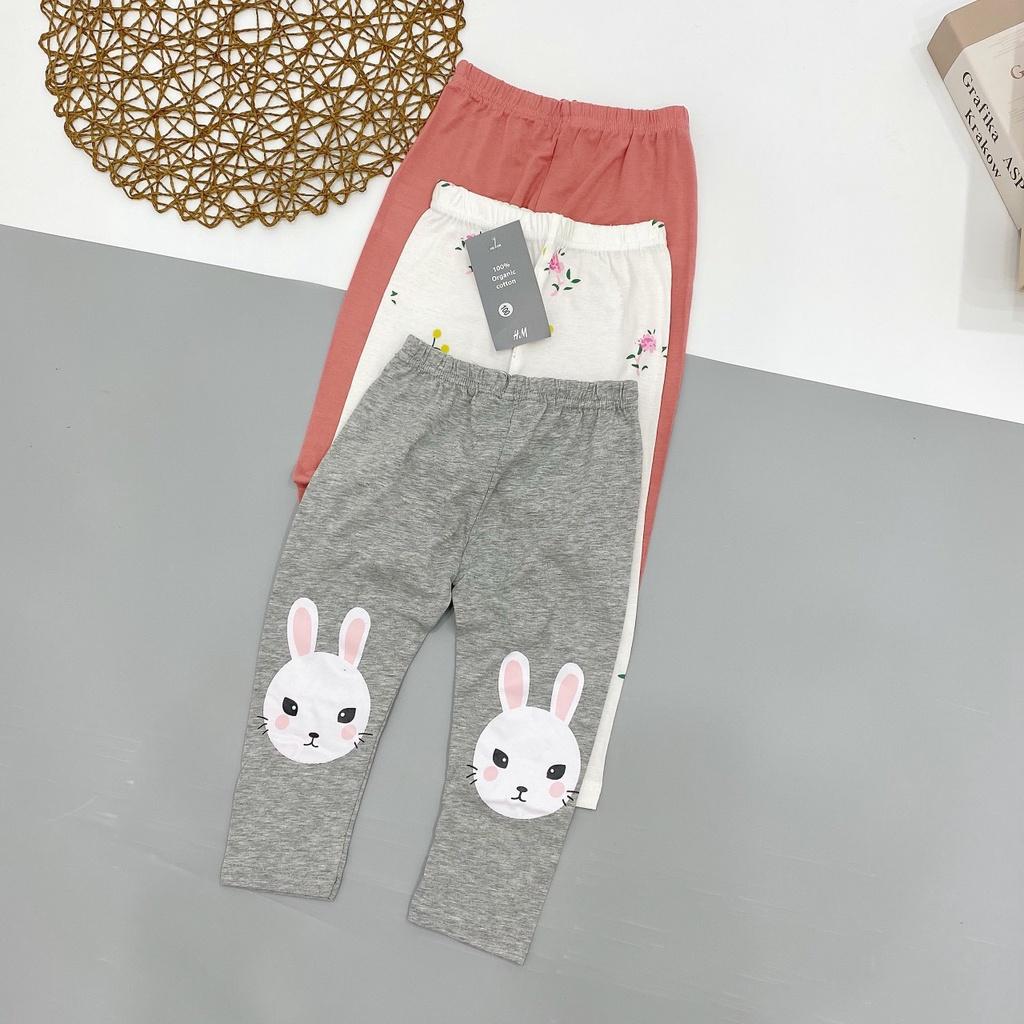 SET 3 QUẦN LEGGING THỎ CHO BG