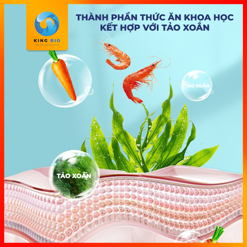 Cám Yee Axolotl - thức ăn dinh dưỡng cho rồng 6 sừng (kỳ nhông nước)