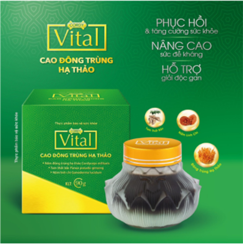 Cao Đặc Đông Trùng Hạ Thảo - Cordy Vital