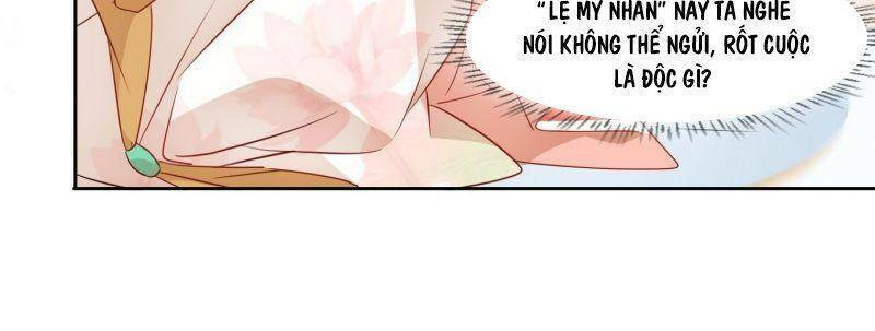 nghe nói ta là hợp hoan lão tổ? chapter 6 2