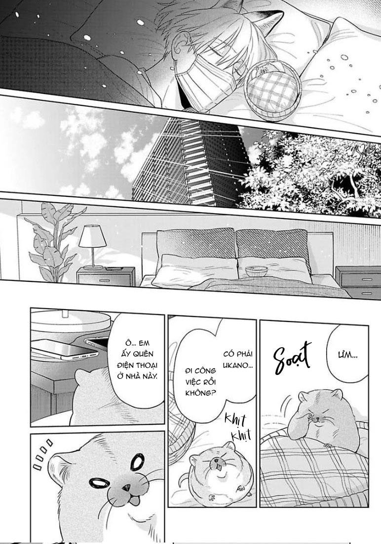 khiến một omega tuyệt hảo rít lên chapter 10 40