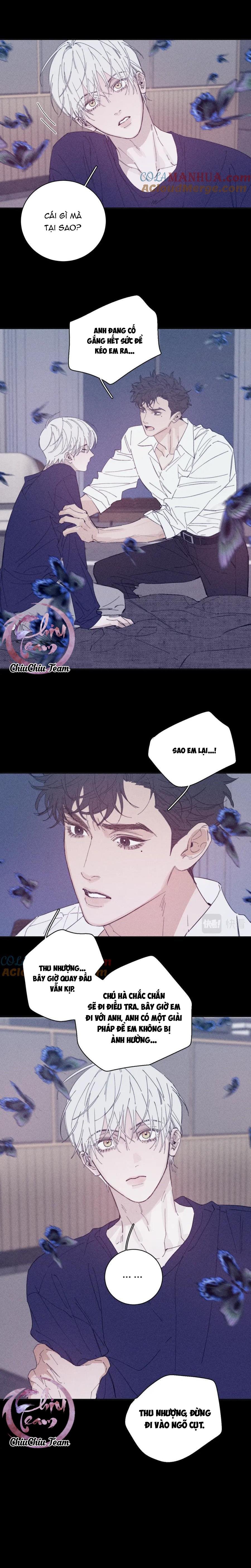 mùa xuân đang đến chapter 99 11