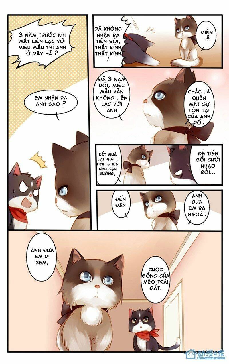 hằng mộng nam thần chapter 22 13