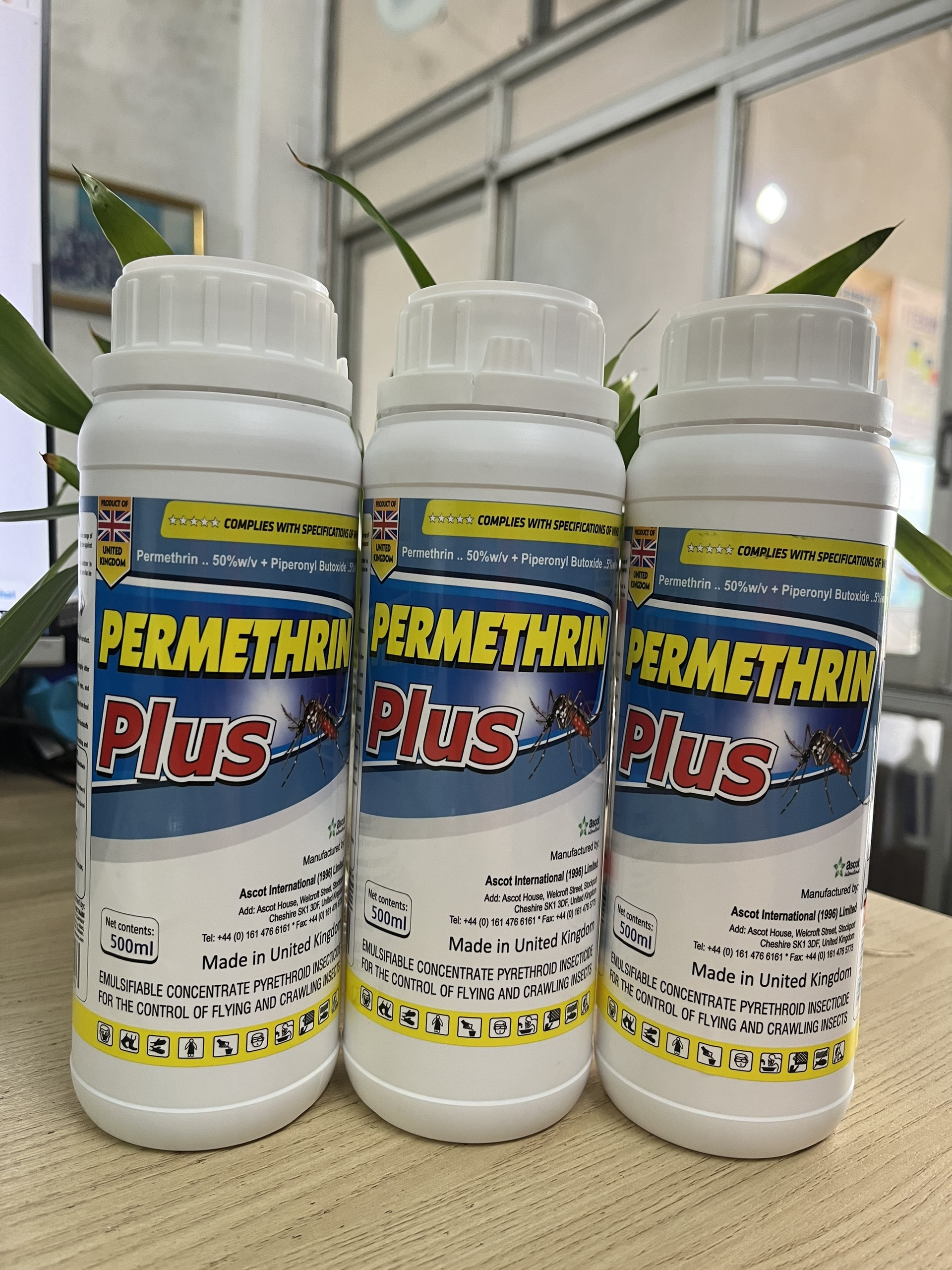 Thuốc diệt muỗi nhập khẩu nguyên chai Anh Quốc Permethrin Plus 50EC chai 500 ml