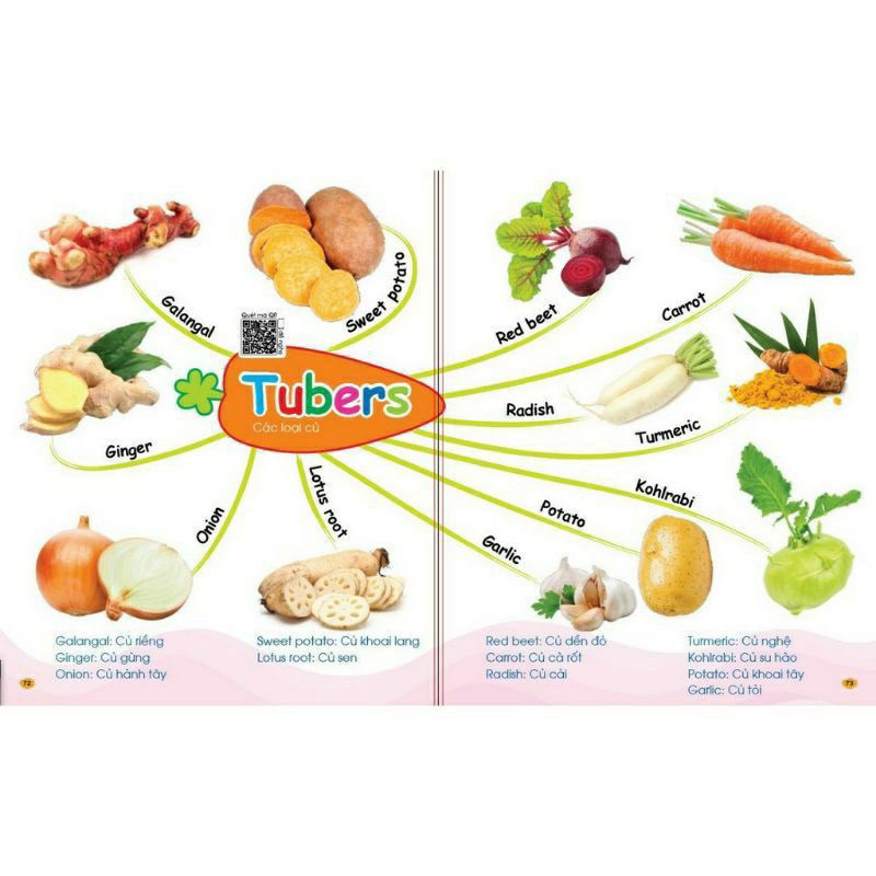Sách - Chinh Phục Từ Vựng Tiếng Anh - Theo Sơ Đồ Tư Duy Mind Map