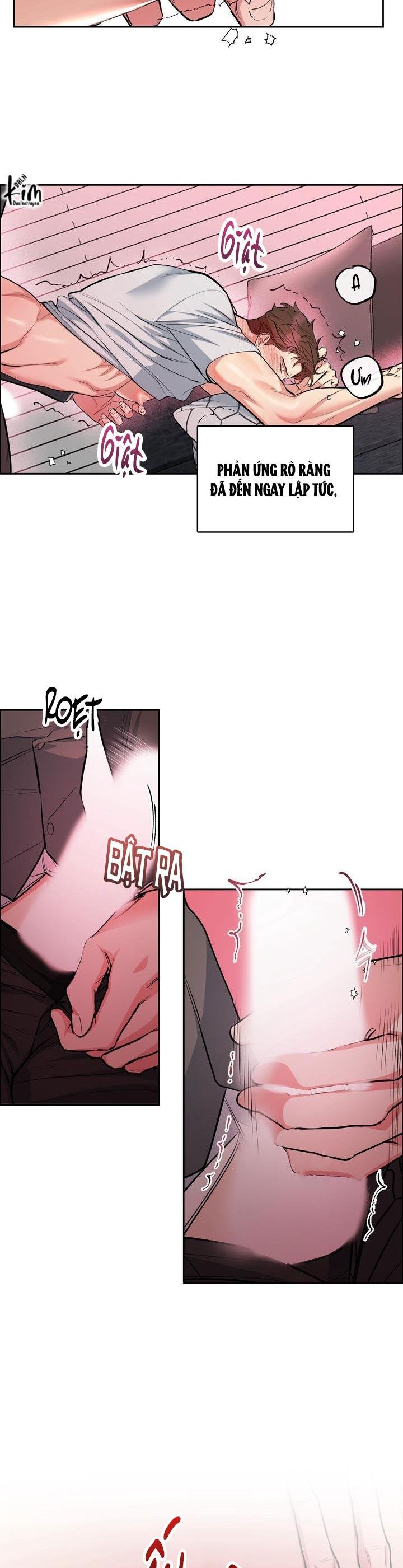 CHÓ VÀ CHIM Chapter 27 ss2 28