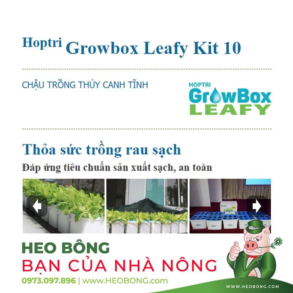 BỘ 10 CÁI - Chậu trồng thuỷ canh rau HỢP TRÍ GROWBOX LEAFY