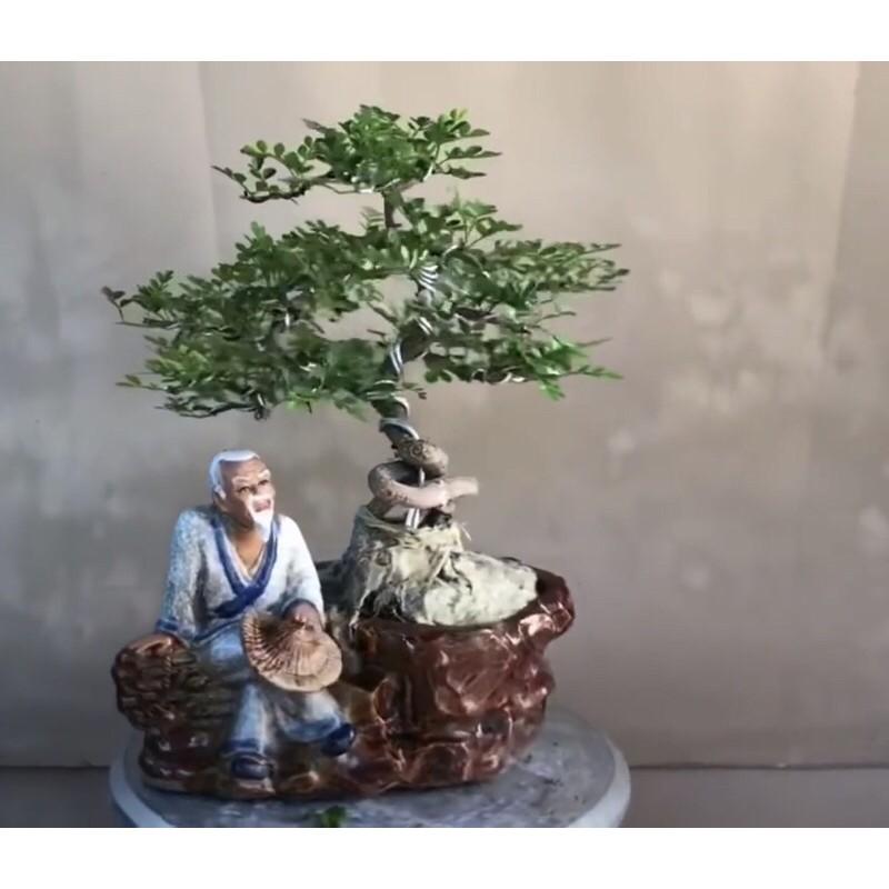 Chậu tượng bonsai ông lão đốn củi