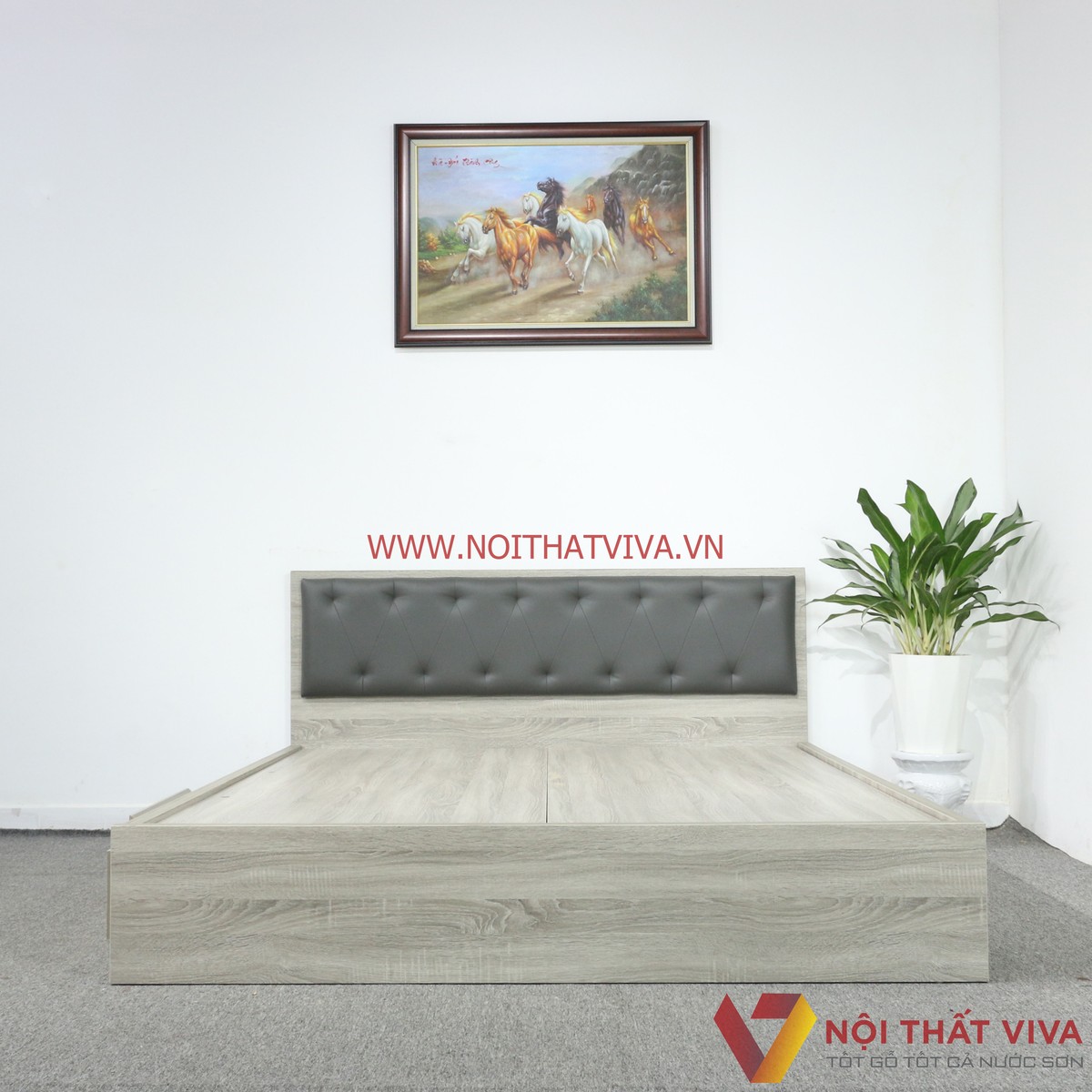 Giường Ngủ Gỗ MDF Melamine Màu Xám Vân Gỗ Có Hộc Kéo + Đầu Nệm Xanh Đen Đẹp Hiện Đại