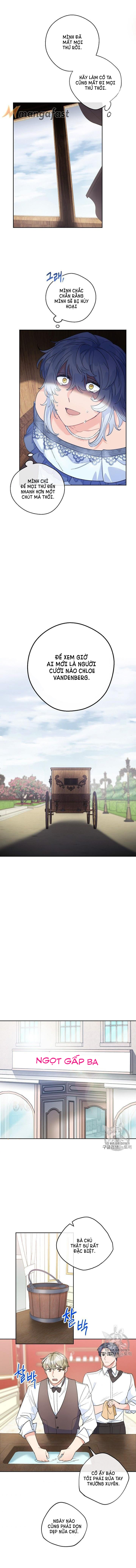 50 công thức pha trà của nữ công tước chapter 94 8