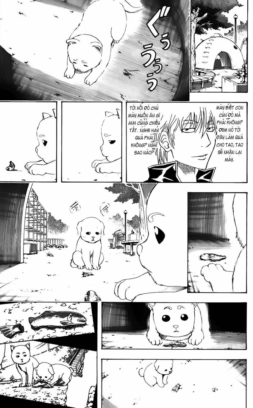 gintama - linh hồn bạc chapter 402 10