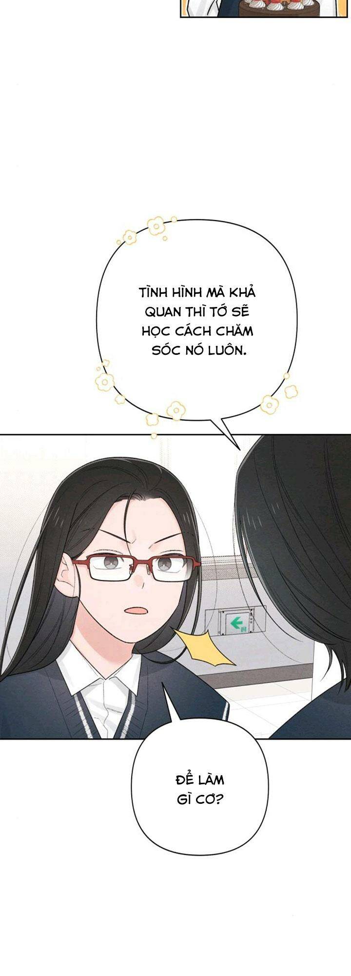 Bí Mật Thanh Xuân chapter 60 5