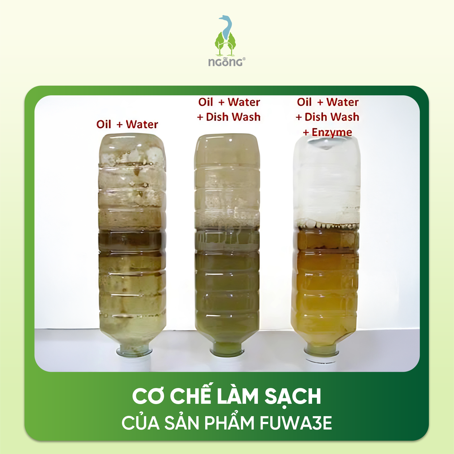 Nước Rửa Chén Fuwa3e Hương Dứa Làm Sạch Dầu Mỡ An Toàn Cho Gia Đình Chai 500ml