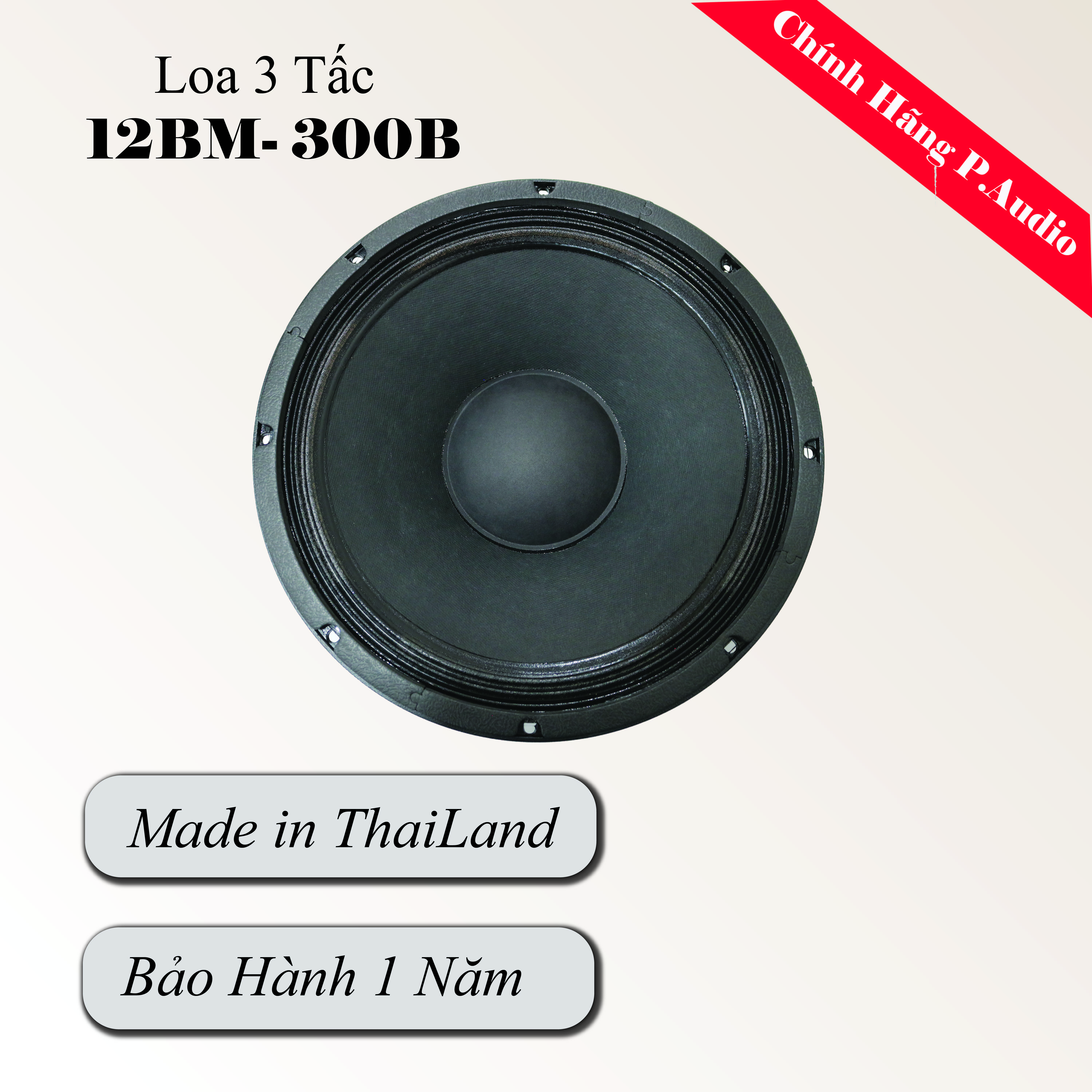 Loa Đơn P.Audio 12BM -300B Ba Tấc - Hàng Chính Hãng