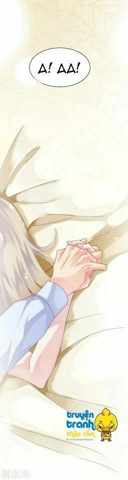 chọc tới chủ tịch tổng tài 2 chapter 68 10